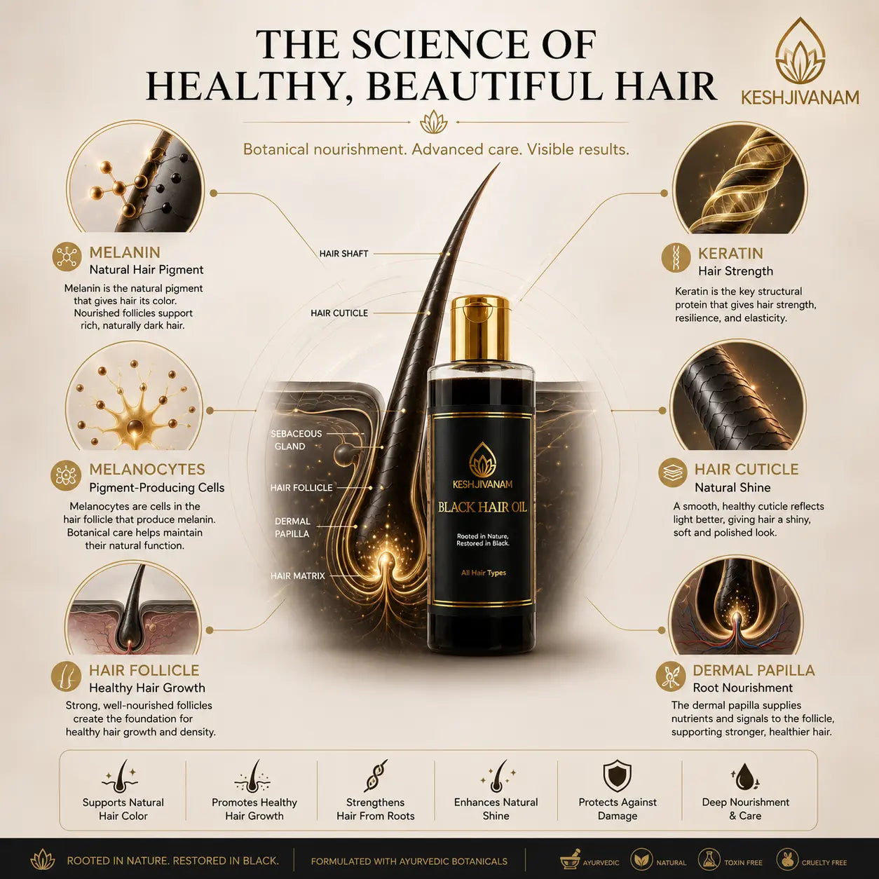 KeshJivanam - Black Velvet Botanics Herbal Hair Oil | Buy 1 Get 1 Shampoo FREE